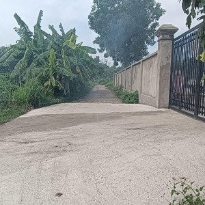 bán đất 1288m2 tại thái hòa, tân uyên, bình dương, giá 6 ty8