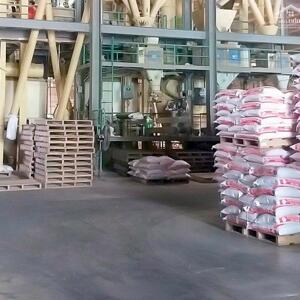  CHUYỂN NHƯỢNG NHÀ MÁY SẢN XUẤT THỨC ĂN CHĂN NUÔI DIỆN TÍCH 7.000M2 ĐANG HOẠT ĐỘNG TẠI BUÔN MA THUỘT. 50 TỶ