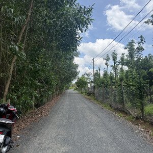 bán đất xã hoà hiệp dt: 2.400m2 đường nhựa,khu dân cư, đất tươi sốp tốt,làm nhà vườn nghỉ dưỡng
