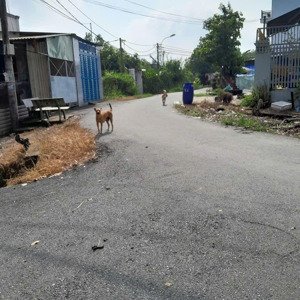 Cho Thuê đất Tại đường Nguyễn Kim Cương, Tân Thạnh đông, Củ Chi, 6 Triệu, 1000m2