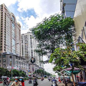 bán nhà riêng tại lý thường kiệt, 116,5 tỷ, diện tích đất 581m2, chính chủ giá cực chất, q11, hcm