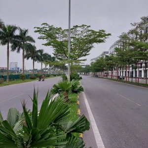 Bán Shophouse Cát Tường Smart Yên Phong Bắc Ninh