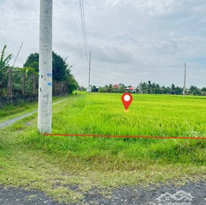cần bán miếng đất thổ cư 337m2 rộng rãi