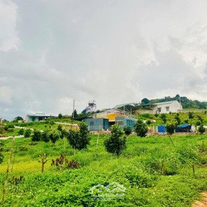 chủ kẹt tiền cần bán lô đất đẹp view đồi hoa