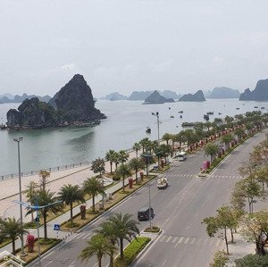 Cần Bán đất Biệt Thự Mặt đường Bao Biển Trung Tâm Tp Hạ Long