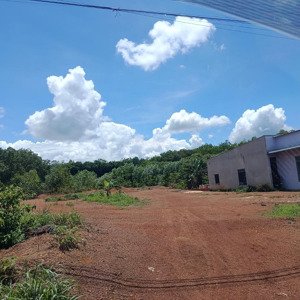 V/c Cô 8 Bán đất 1000m2/550tr Mt Nhựa Sát Dân Cư đầy đủ Tiện ích đối Diện Kcn đp. Vy)
