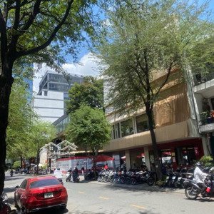 bán nhà hàng hiếm tôn thất tùng quận 1 - có 102 hàng xóm nguyễn huệ