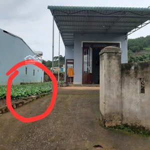Bán Nhà 3pn Gần Chùa Giác Nhản, đức Trọng, Dt 10x42m Tc 100m2. Giá 3 Tỷ