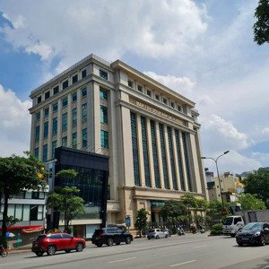 lô góc phố xã đàn - đống đa 450m², mt 12m, vỉa hè rộng 8m, kinh doanh đỉnh, giá đầu tư chỉ 600tr/m²