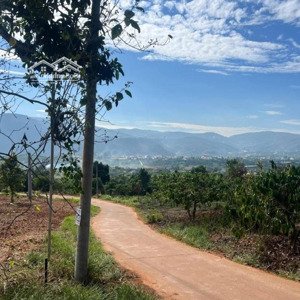 đất vườn nghỉ dưỡng vùng ven tp đà lạt