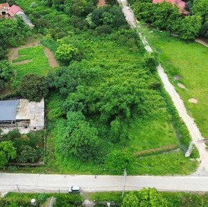 bán đất trần phú, chương mỹ, hà nội dt 175m2 40m2 thổ cư và 135m2 trồng cây lâu năm, đất vuông đẹp