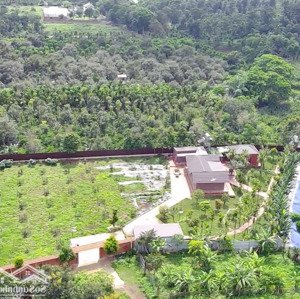 Nhà Vườn View Hồ Full Thổ Cư 4000m2 Km12 Hoà đông, Krông Păk