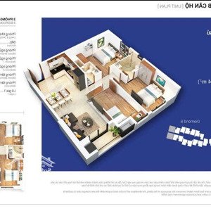 booking chỉ 20tr, căn hộ 3 ngủ tặng ngay 130tr + ưu đãi chính sách của cđt