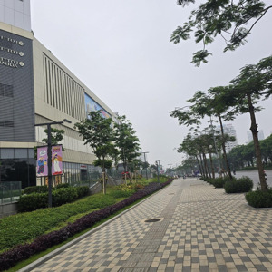 bán đất đấu giá khu d9 vườn đào đường lạc long quân, quận tây hồ, dt 176m2, mặt tiền 11m. giá 85 tỷ