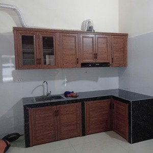 Cho Thuê Nhà Mặt Phố đẹp, Giá 10 Triệu, 100m2 Tại Nguyễn Mậu Tài, Trâu Quỳ, Gia Lâm, Hà Nội