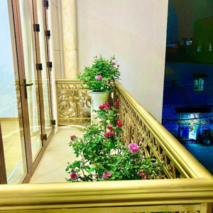 xe hơi tới cửa, đường trần bình trọng, phường 1, quận 5, hồ chí minh, 10,3 tỷ, 50m2