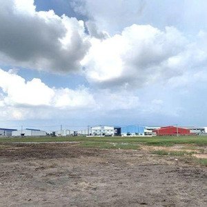 Cho Thuê Quỹ đất 20hata đối Diện Công Ty Kim Hằng đường Nguyễn Văn Linh .huyện Binh Chánh