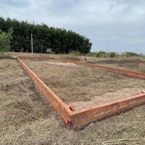 cần bán đất tóc tiên, phú mỹ brvt 7x20m (140m2 toàn bộ thổ cư), cách cao tốc bh - vt 1,8 km