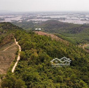 5ha đất View Núi Chóp Chài Khu Vực Hoà Quang Nam, Cách Tuy Hoà 25km, Giá Mềm