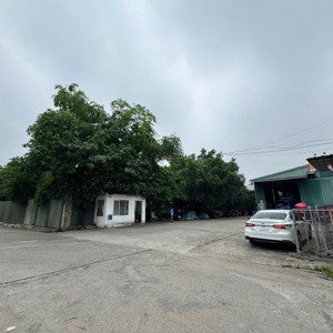 Cho Thuê Kho Mỹ đình - Nam Từ Liêm Gần Svđ Mỹ đình 320m2 Mặt Tiền 12m. Xuất Vat. Giá 150k/m2/th