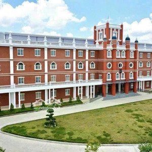 Mặt Tiền Kinh Doanh Nguyễn Chí Thanh,hiệp An Tdm,5x14,giá 3.3 Tỷ