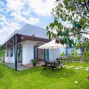 Bán Căn Village 595m2 Lộc Châu Bảo Lộc Chỉ Từ 400tr