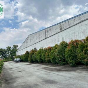 Cho thuê nhà xưởng 12.000 m2 tại KCN Bàu Xéo, Trảng Bom, Đồng Nai.