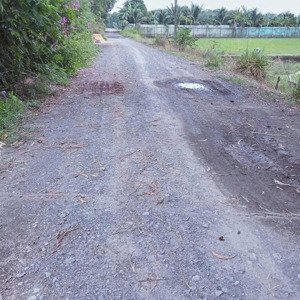 chủ kẹt tiền bán lô đất vườn diện tích 500m2 giá rẻ xã tân thạnh tây, củ chi