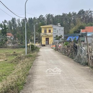 bán đất phân lô đấu giá lõi dự án hạ long xanh