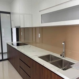 Cho Thuê Phú đông Sky Garden 8tr/tháng Nhà Trống Có Rèm, Giàn Phơi, Hút Mùi, Bếp View Ngoài ở Liền.