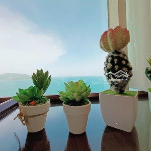 Căn Hộ Vip 5* Mường Thanh 60 Trần Phú Wiew Trực Biển Quảng Trường 50m2 Chỉ 18tr/1 Tháng