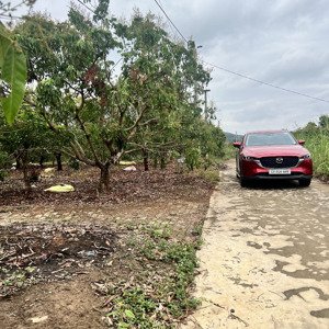 đất thổ cư thôn bái đã , xã bình sơn , lục nam , bắc giang