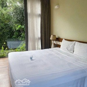 Bán Vila Tại Khu Du Lịch Nghỉ Mát Tam đảo, Vĩnh Phúc, 400m Xây 3.5 Tầng Có Bể Bơi, Lh 
