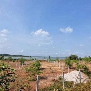 Cần Bán Gấp Hơn 1 Sào đất View Hồ Dầu Tiếng