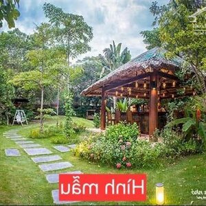 Rất phù hợp kinh doanh homestay hoặc quán ăn sân vườn