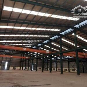 Cho thuê kho xưởng trong KCN Sóng Thần 1, Bình Dương DT 2000m2; 3000m2; 5000m2; 20.000m2