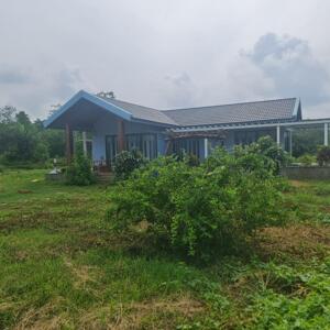 Bán Nhà Vườn Full Hồng Xã Hàng Gòn