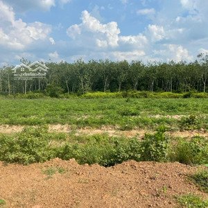 Cần Bán đất Xây Dựng Nhà Xưởng Tam Phước, Biên Hoà