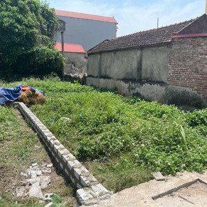 bán gấp lô đât đep ngay vành đai 4 vân tảo. sat trường học, giá đầu tư
