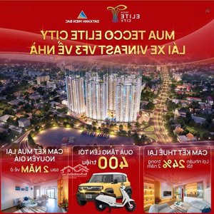 Sở Hữu Căn Hộ Tecco Elite City Trung Tâm Tp. Rinh Xế Vinfast Vf3 Về Nhà. Chỉ Còn 6 Suất