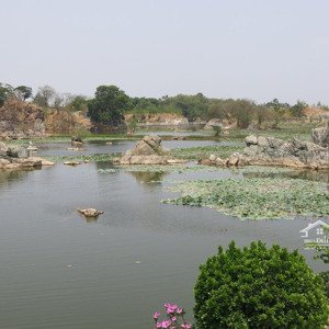 cho thuê 10 mẫu đất view hồ sông núi sẵn hiện trạng kinh doanh, mặt bằng 2000 - 6000m2 khác
