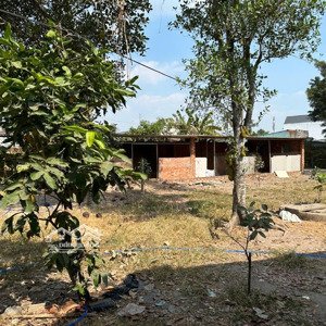 Cho Thuê Nhà Vườn - Giá Rẻ Nhất Khu Vực