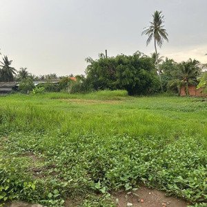 Bán Gấp 920m2 đất Nhà Vườn Xã An Vĩnh Ngãi, Tp Tân An, Long An Có 370m2 Thổ Cư, Giá Chỉ 2.3 Tỷ
