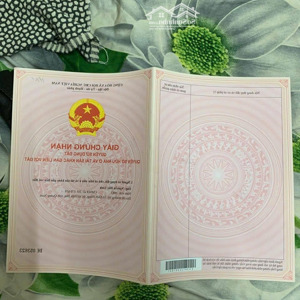 3 - Cần Bán Nhà Cấp 4 Hai Mặt Tiền (trần Dư - Công Viên Hồ điều Hòà An Xuân) Phường An Xuân