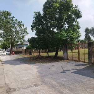 cần tiền bán gấp lô đất 1000m2 sẵn thổ 300 1/ đỗ văn dậy, hóc môn giá rẻ