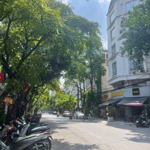 Chung Cư Mini Siêu Hot Bán Tại Hoàng Mai, 32 Tỷ, 120m2 Bao đẹp