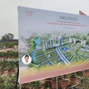 nhận booking alluvia city - chuẩn bị ra hàng - liên hệ 