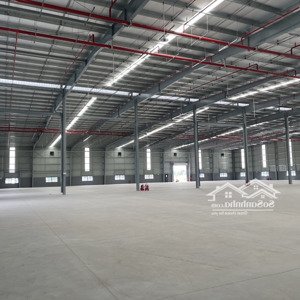 Cho Thuê Kho Xưởng Mới 6000m2, Kv 8000m2, Pháp Lý Chuẩn, Giá Tốt Tại Kcn đức Hòa, Long An