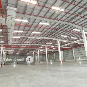 Cho Thuê Kho Xưởng Trong Khu Công Nghiệp Long An