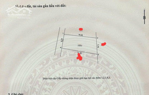 đất đẹp giá tốt gần ql23. 115.9m mt 6,72m. oto 7 chỗ vào tận nơi nh phúc lộc thôn nhì, vân nội đa
